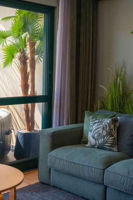 Super Anadia - Olive Apartment Фуншал Екстериор снимка